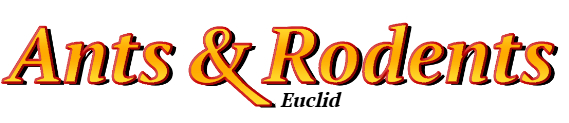 Euclid Ant Exterminator & Rodent Control Company Logo